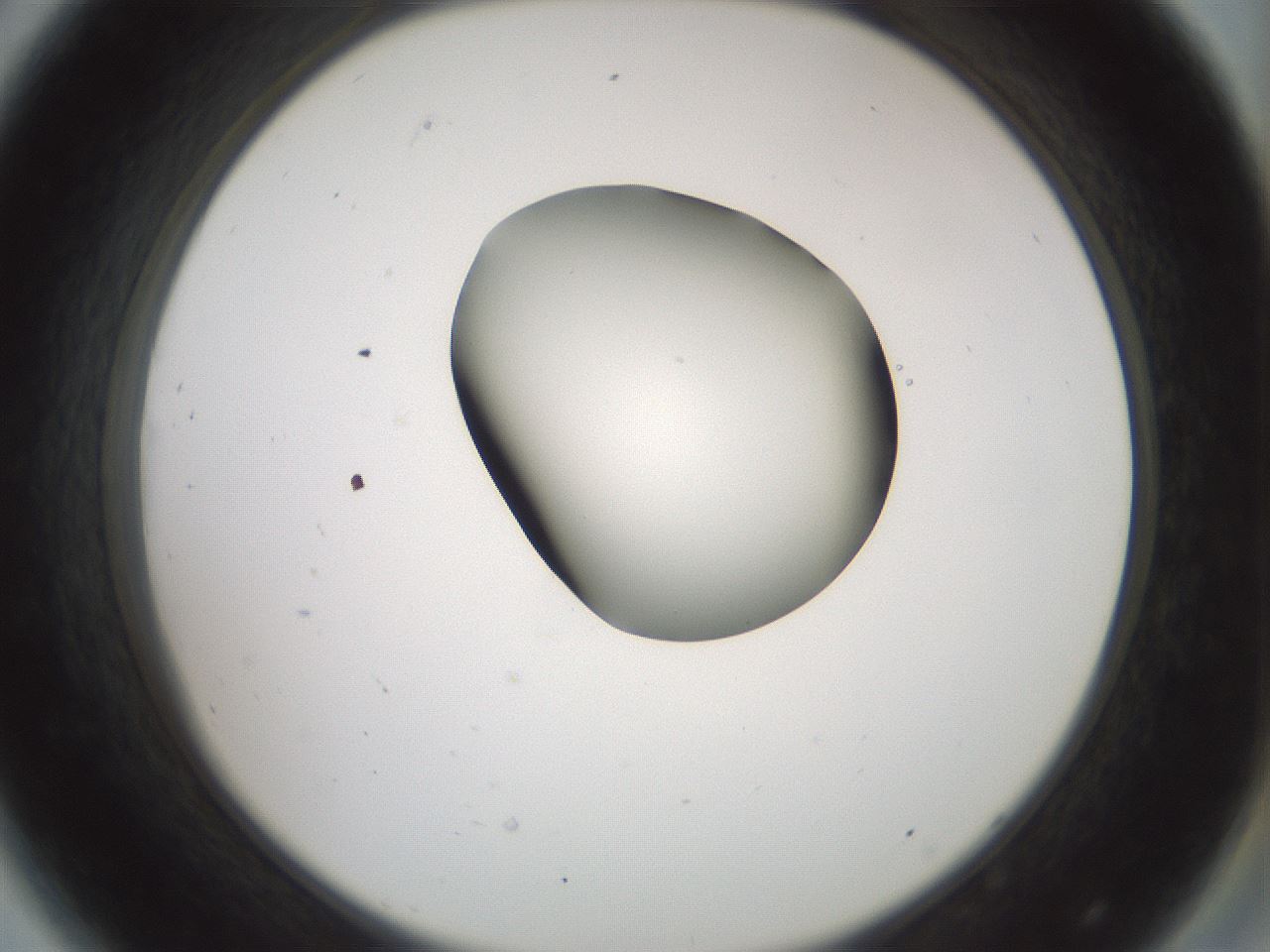 folderID229_plateID1229_batchID3781_wellNum44_profileID1_d2_r71597_ef.jpg