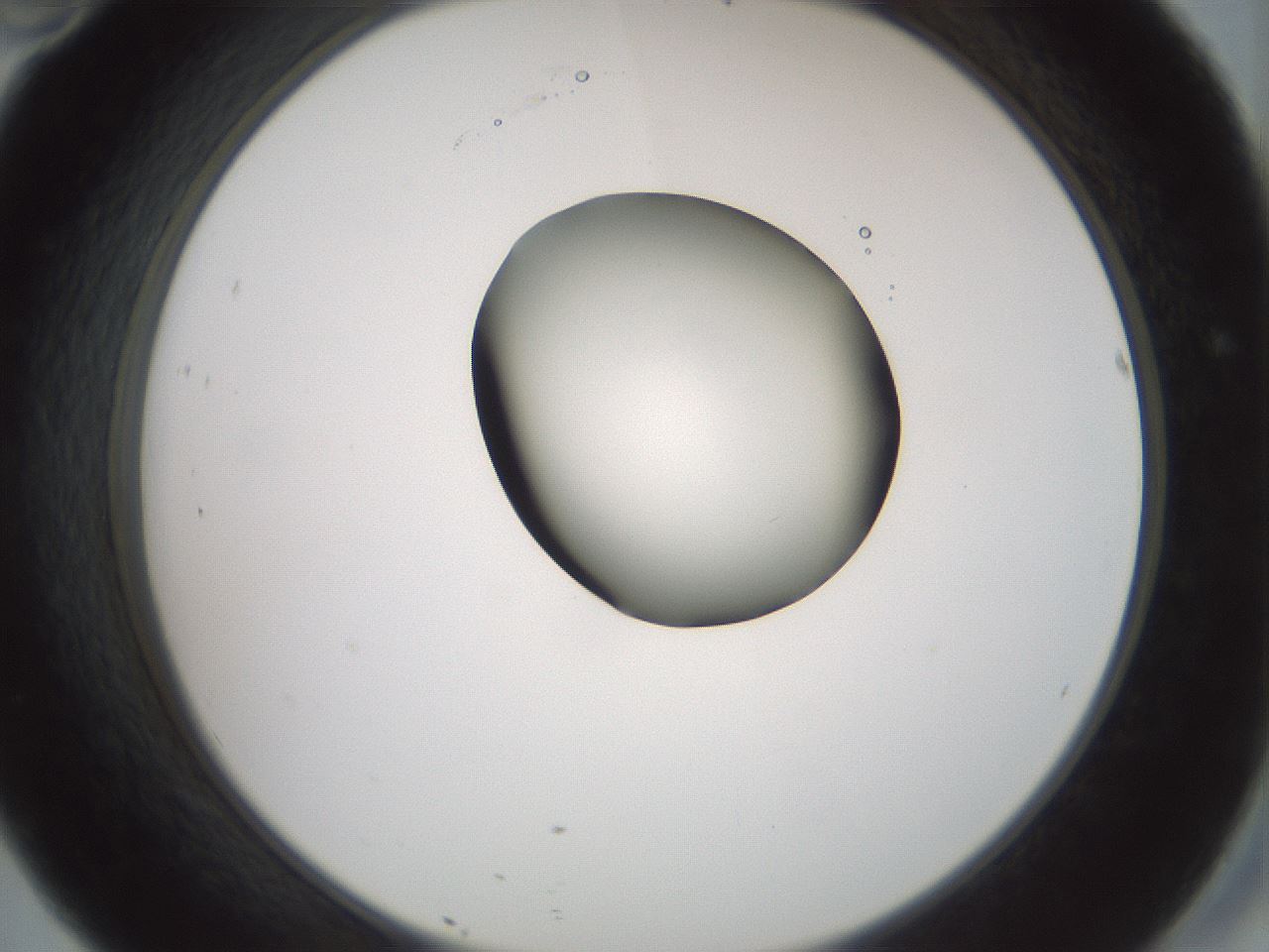 folderID229_plateID1229_batchID3781_wellNum46_profileID1_d2_r71599_ef.jpg