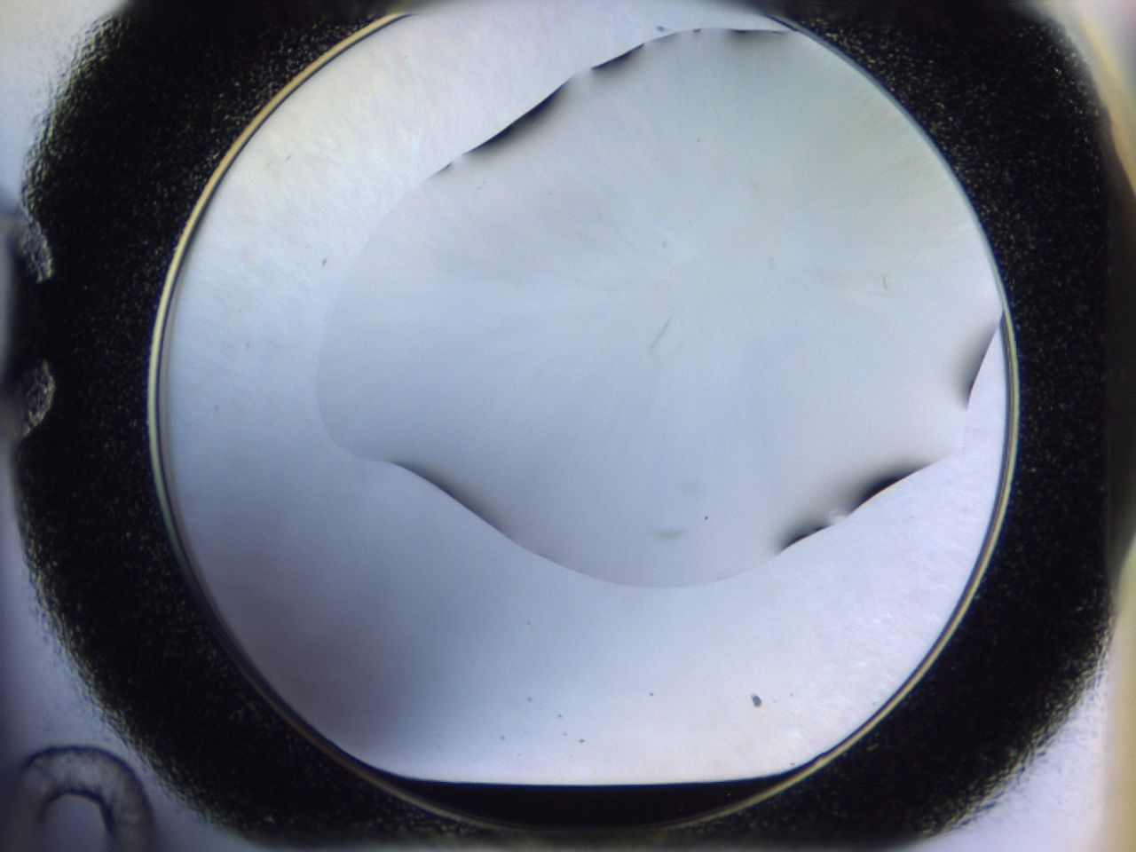 02ha_C10_ImagerDefaults_8.jpg
