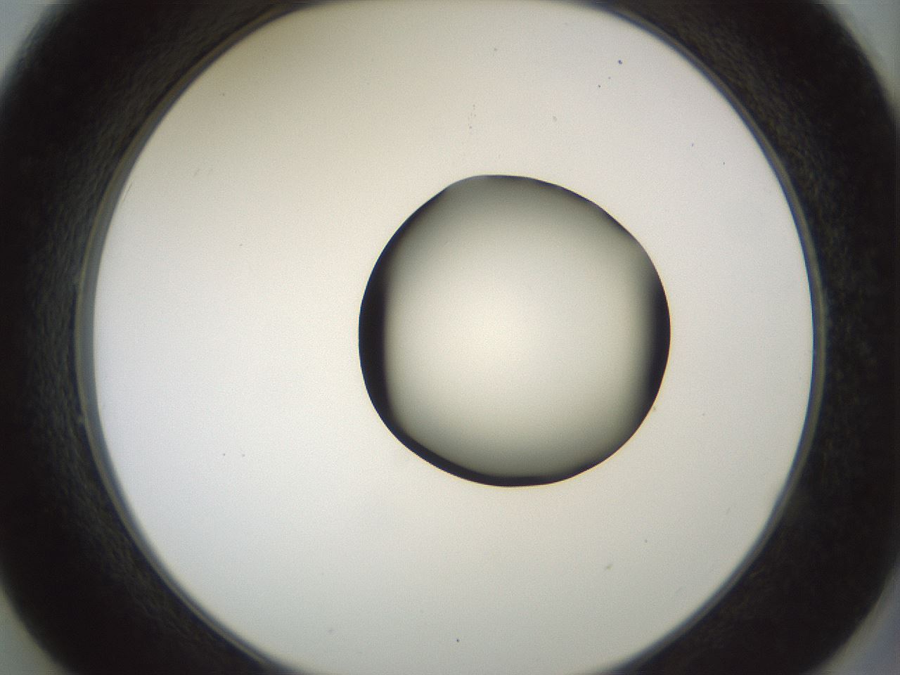 folderID229_plateID1229_batchID3781_wellNum49_profileID1_d2_r71602_ef.jpg