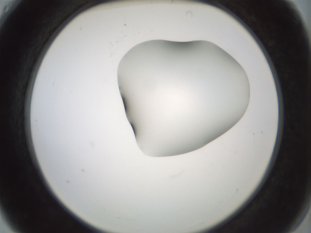 folderID229_plateID1229_batchID3781_wellNum4_profileID1_d2_r71557_ef.jpg