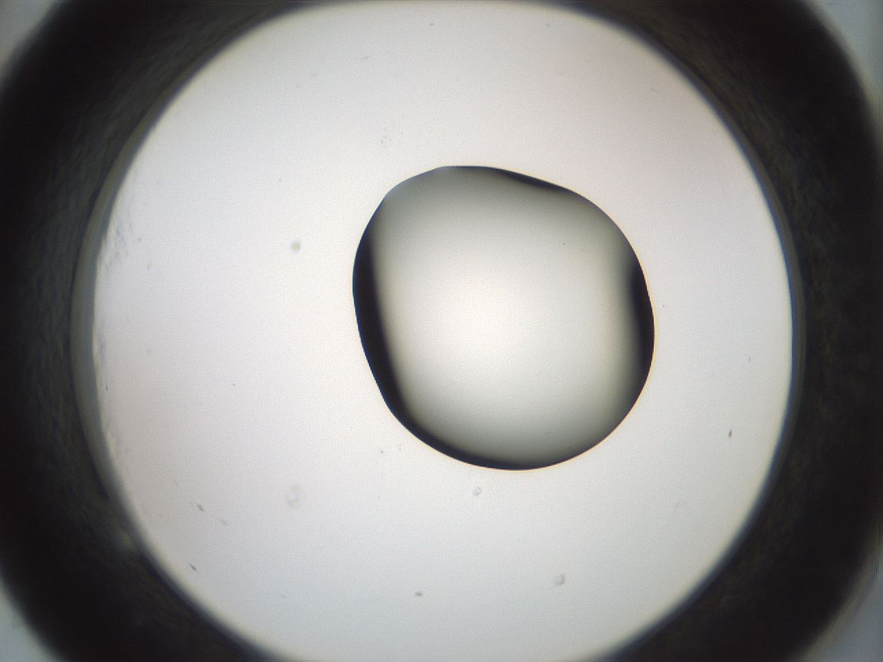 folderID229_plateID1229_batchID3781_wellNum53_profileID1_d2_r71606_ef.jpg