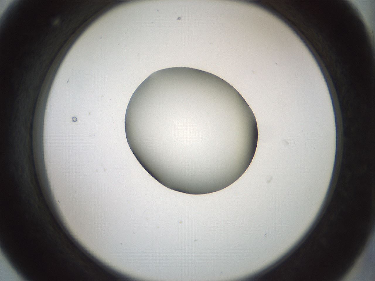 folderID229_plateID1229_batchID3781_wellNum56_profileID1_d2_r71609_ef.jpg