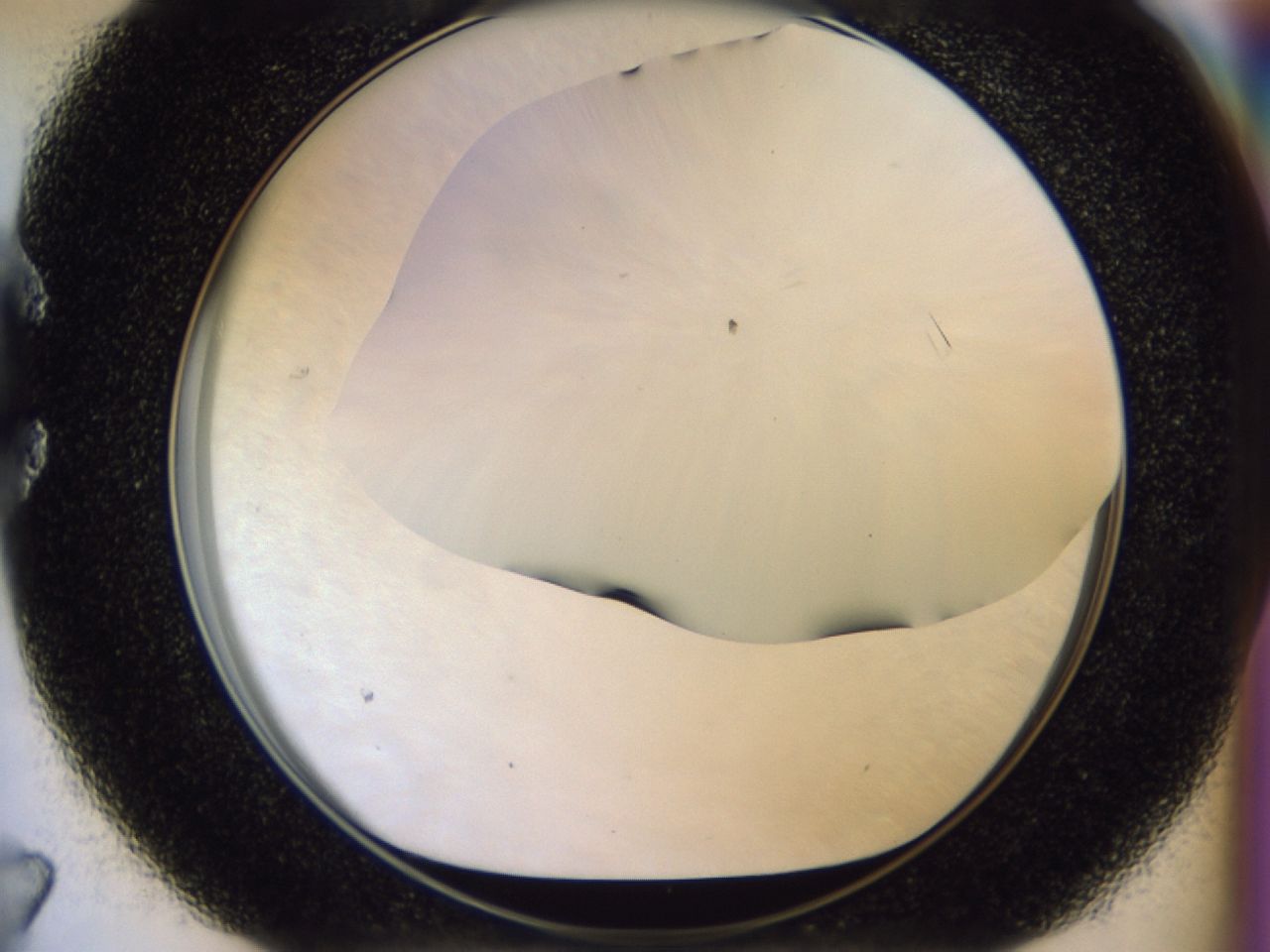 02ha_C7_ImagerDefaults_8.jpg