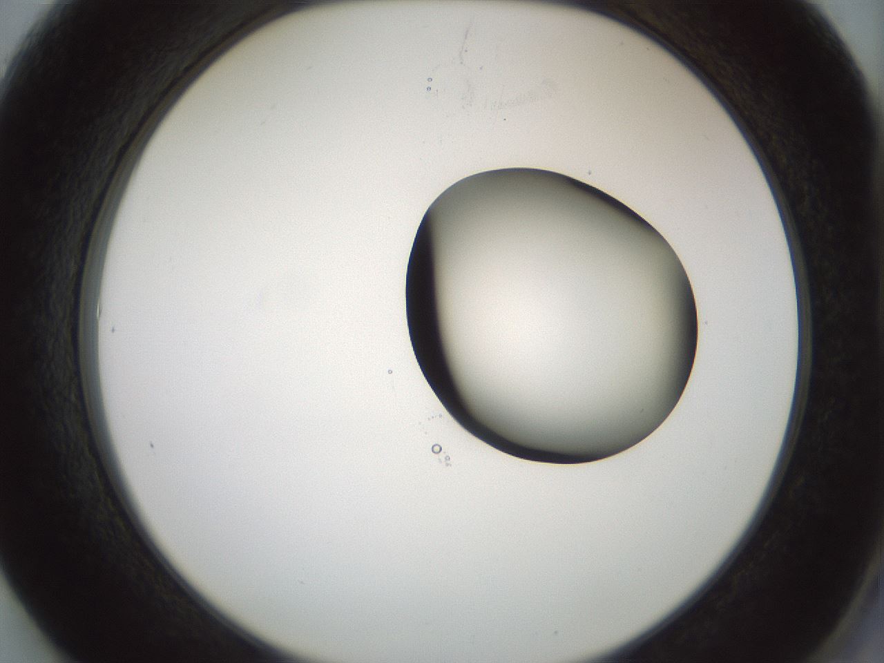 folderID229_plateID1229_batchID3781_wellNum61_profileID1_d2_r71614_ef.jpg