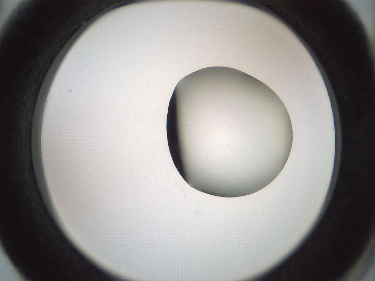 folderID229_plateID1229_batchID3781_wellNum62_profileID1_d2_r71615_ef.jpg