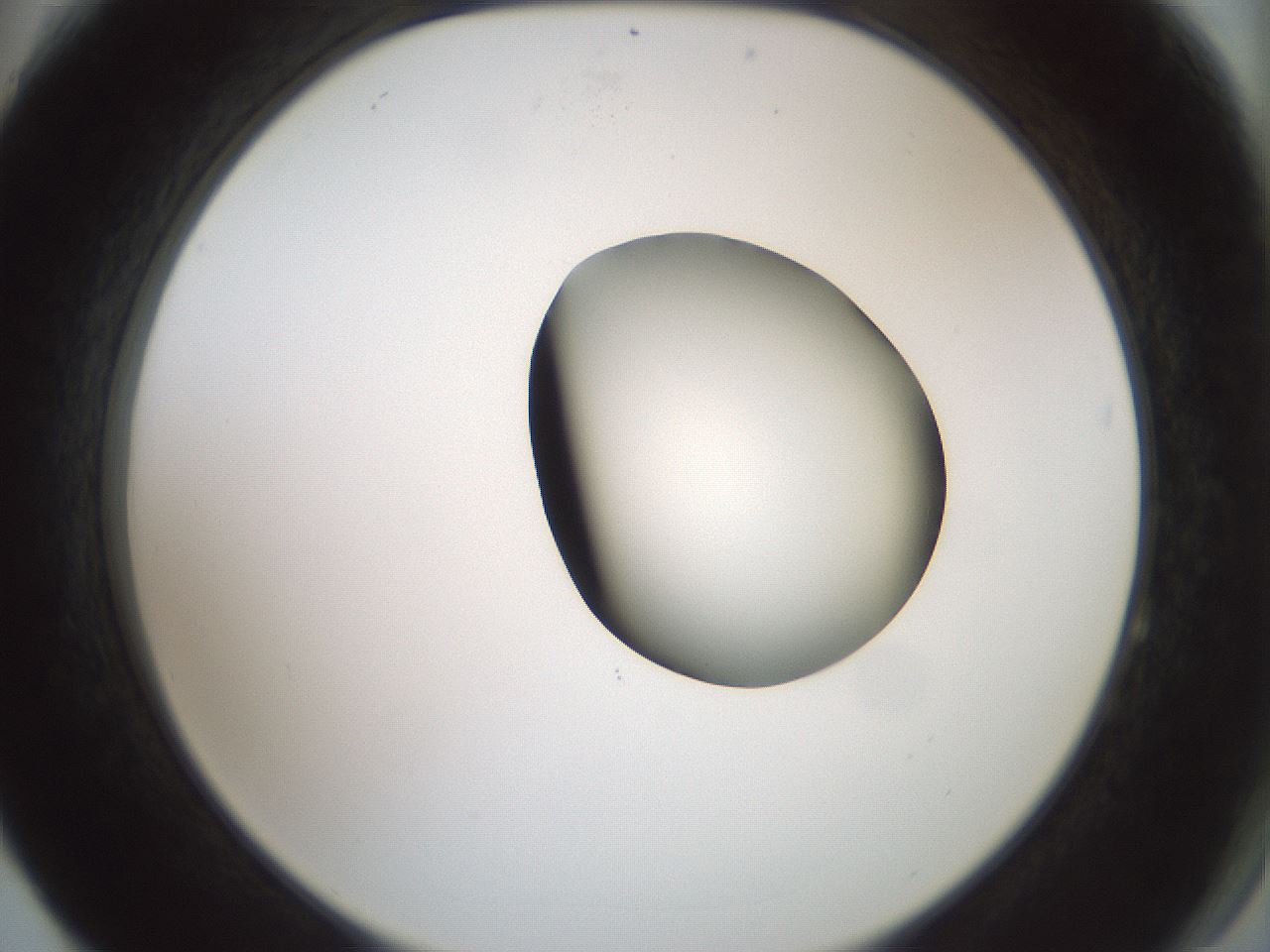 folderID229_plateID1229_batchID3781_wellNum64_profileID1_d2_r71617_ef.jpg