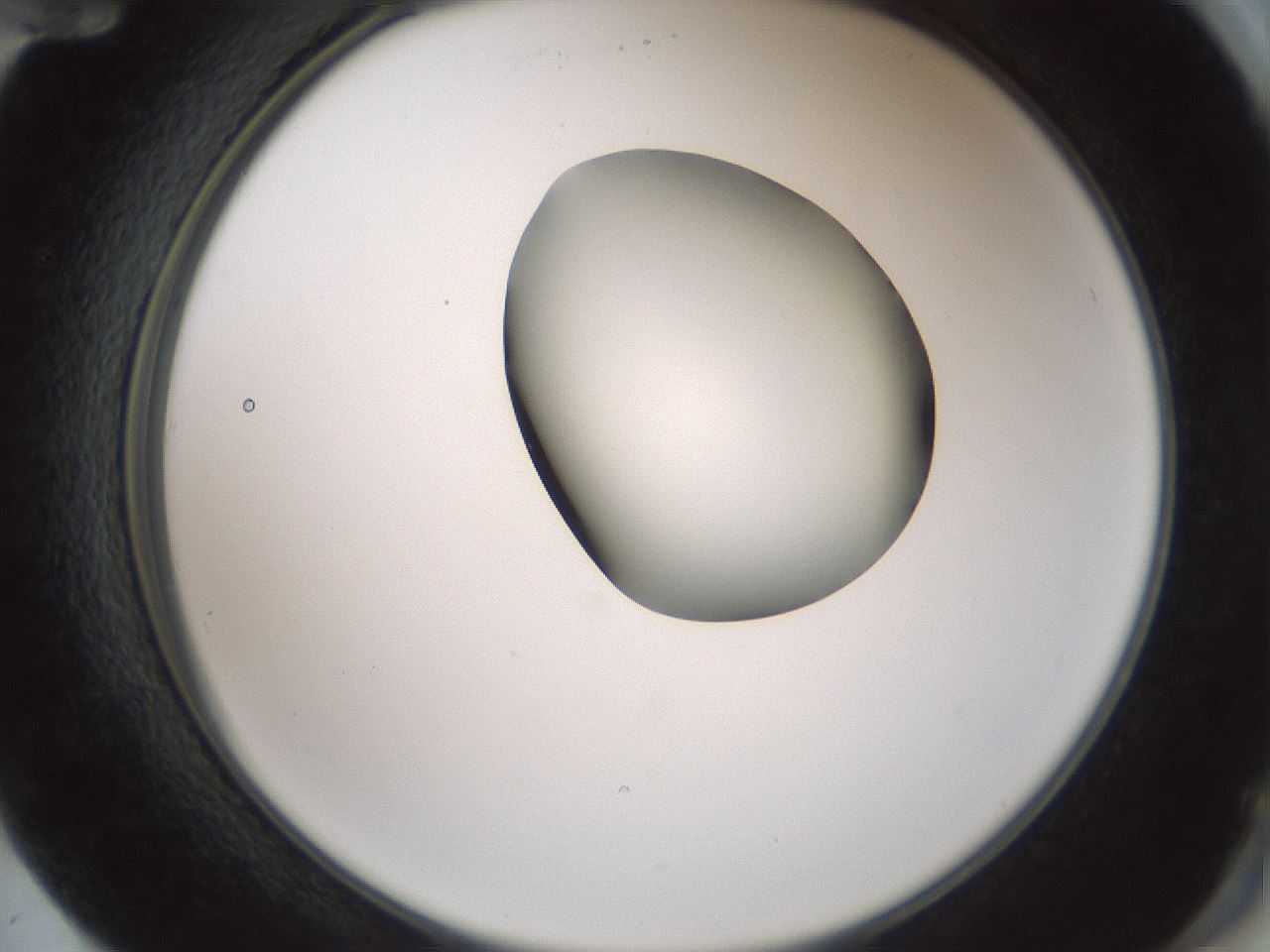 folderID229_plateID1229_batchID3781_wellNum72_profileID1_d2_r71625_ef.jpg