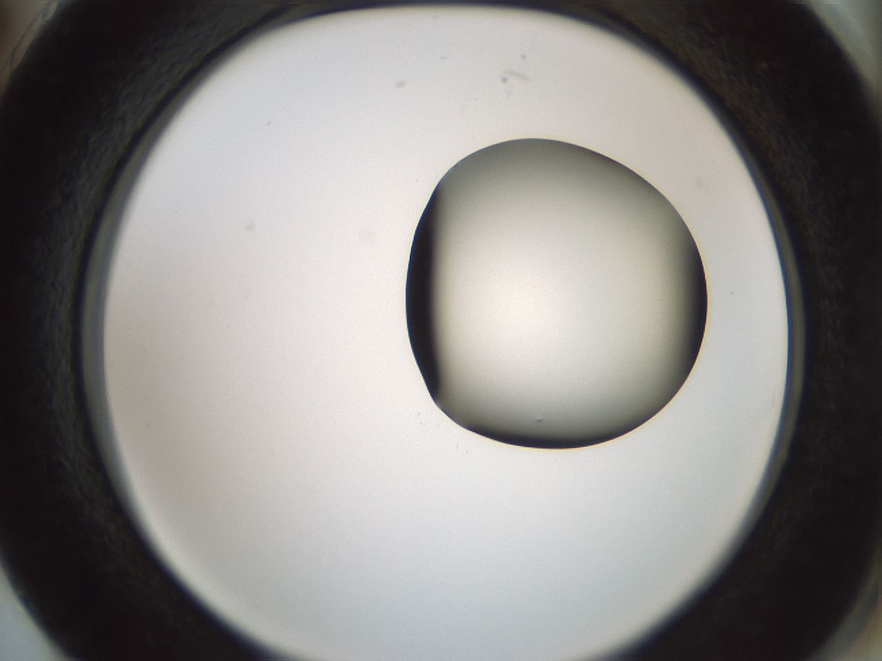 folderID229_plateID1229_batchID3781_wellNum74_profileID1_d2_r71627_ef.jpg