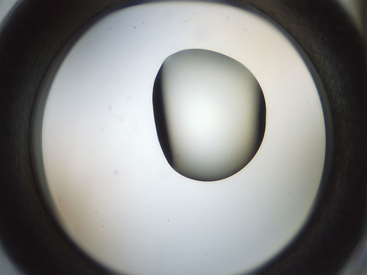 folderID229_plateID1229_batchID3781_wellNum80_profileID1_d2_r71633_ef.jpg
