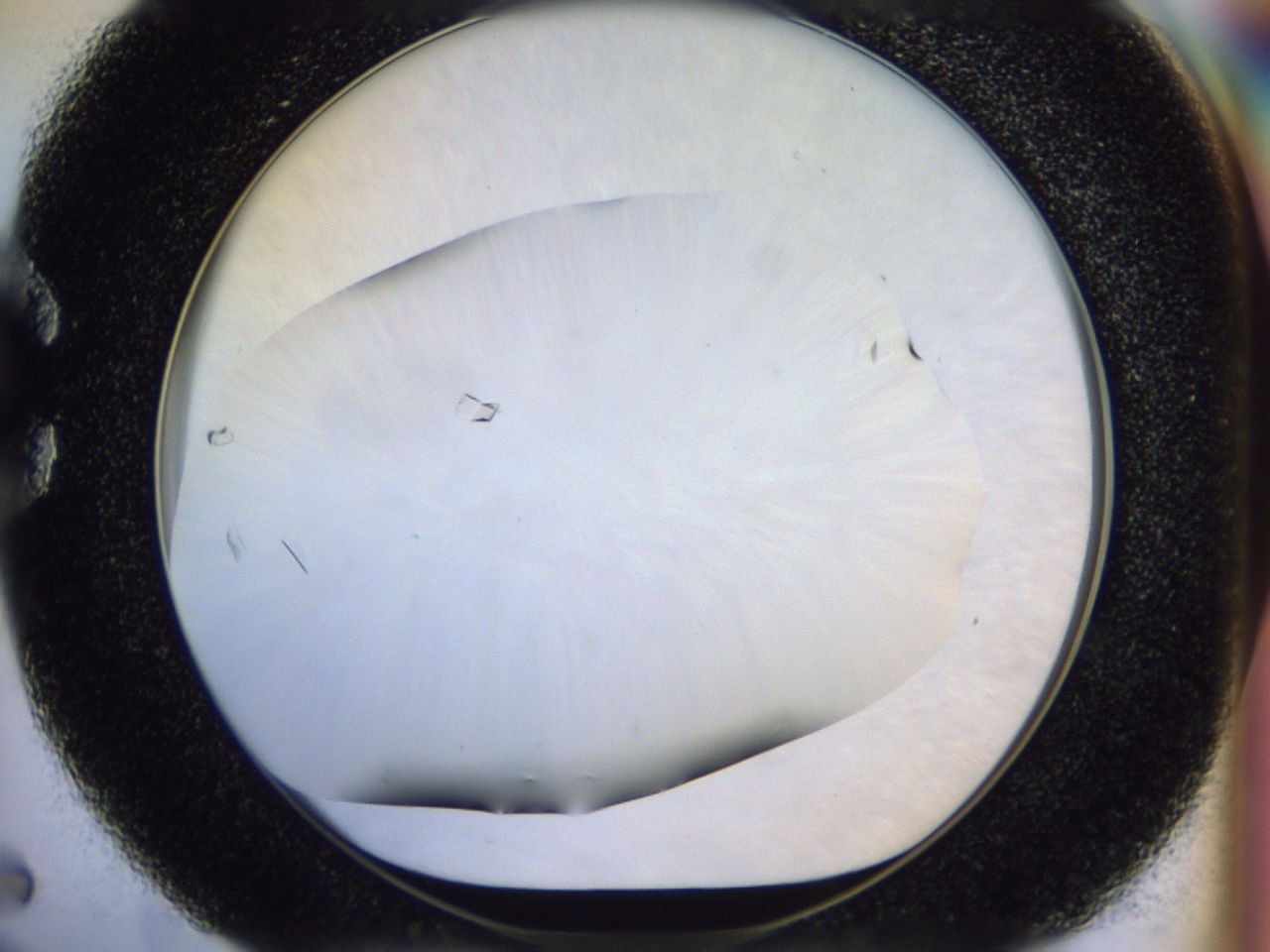 02ha_C5_ImagerDefaults_8.jpg