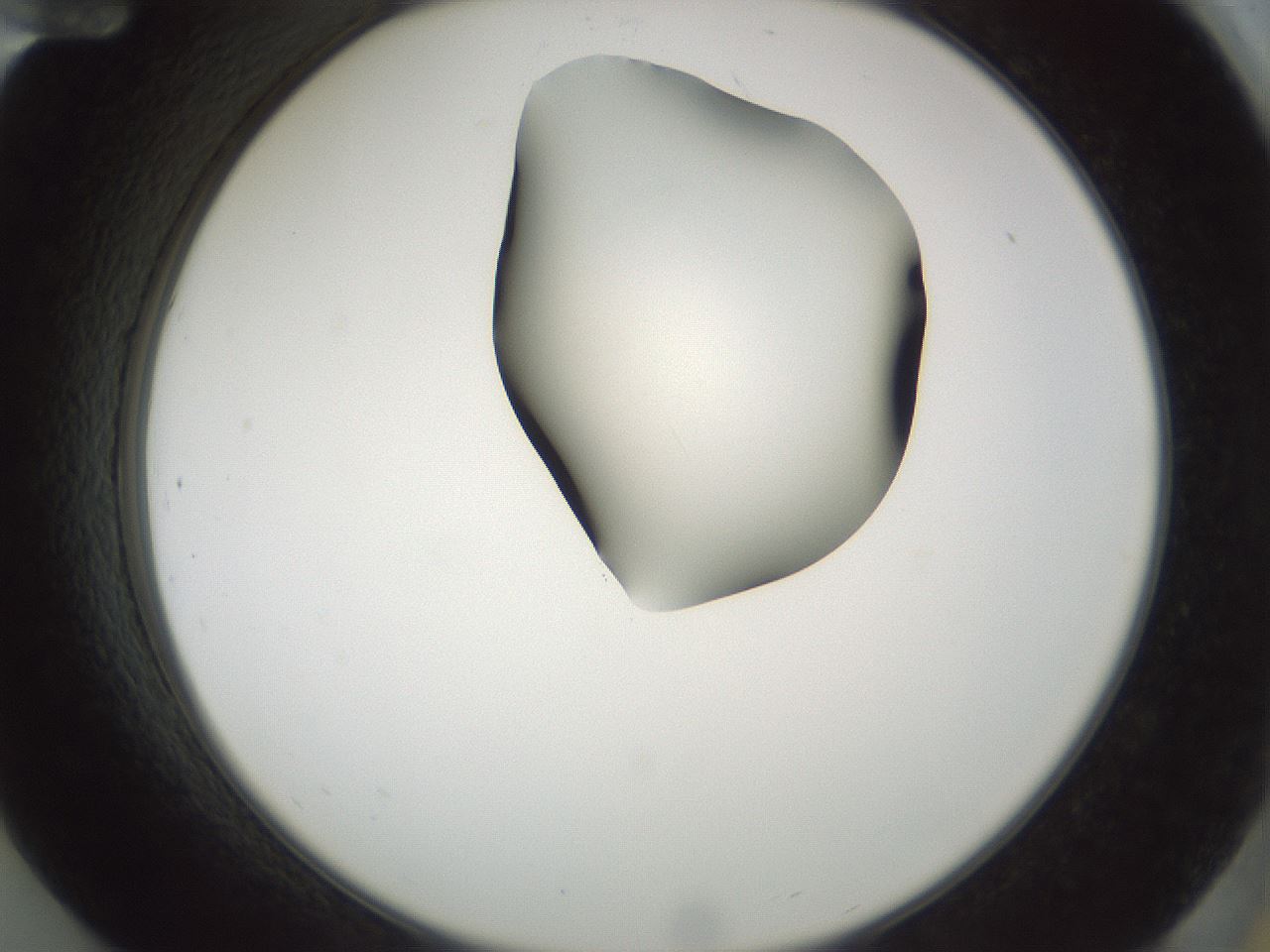 folderID229_plateID1229_batchID3781_wellNum84_profileID1_d2_r71637_ef.jpg