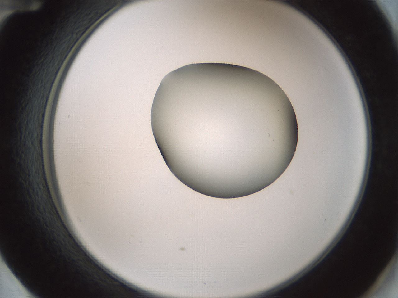 folderID229_plateID1229_batchID3781_wellNum60_profileID1_d2_r71613_ef.jpg