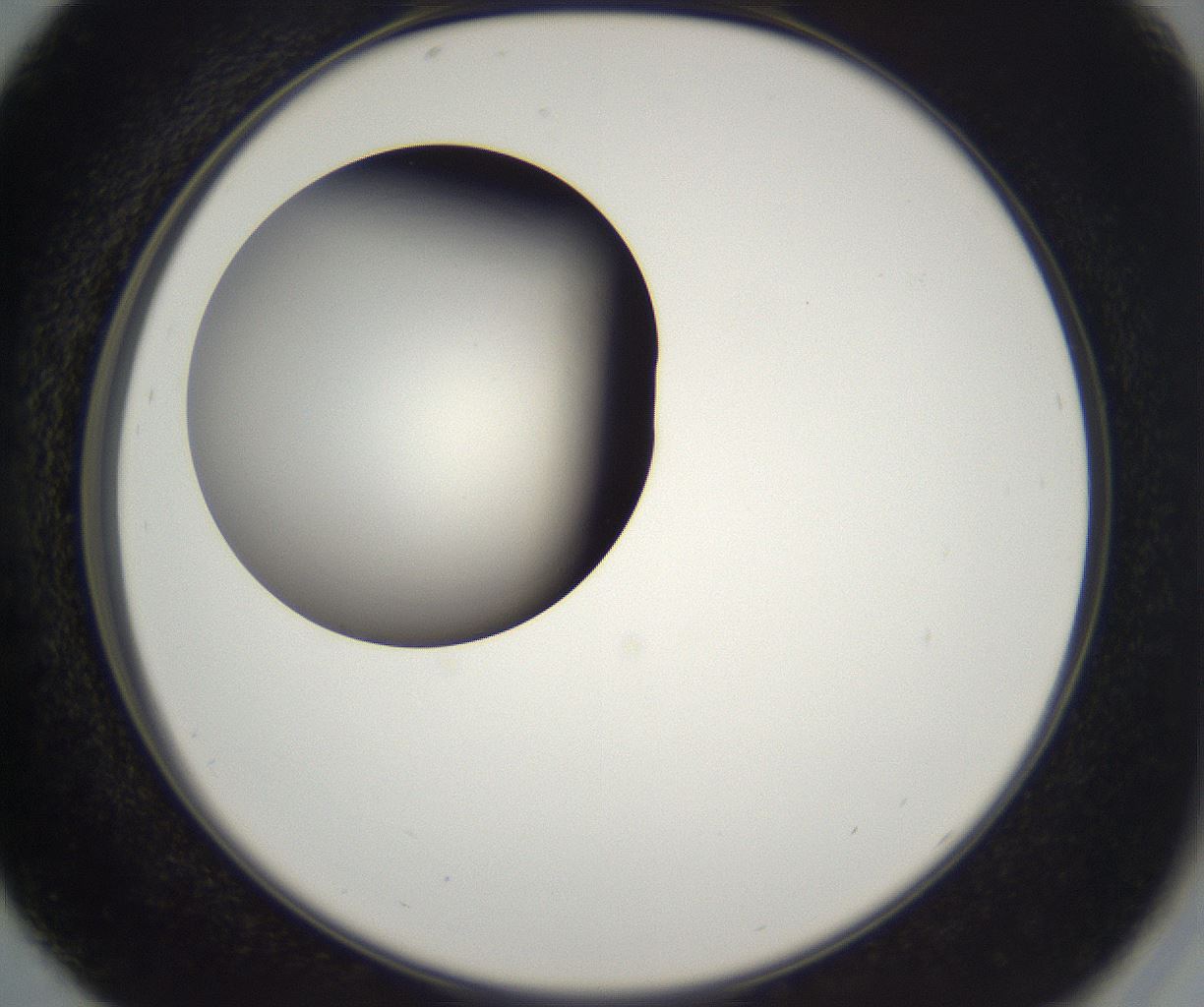 folderID229_plateID2229_batchID10100_wellNum29_profileID1_d2_r154132_ef.jpg
