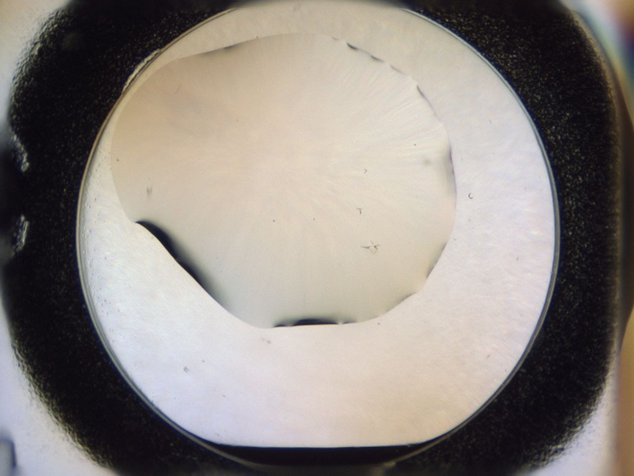 02ha_C4_ImagerDefaults_8.jpg