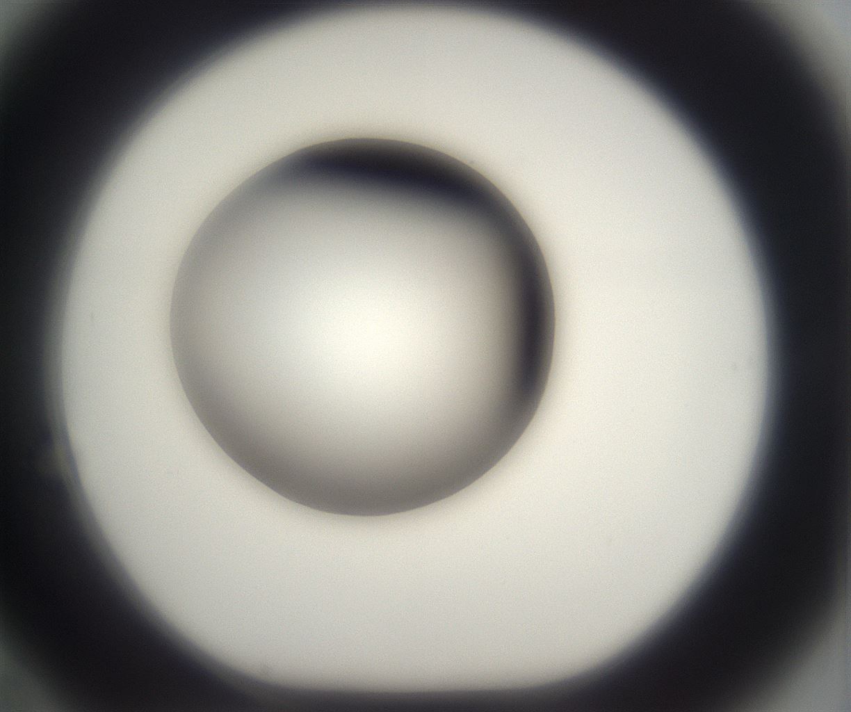 folderID229_plateID2229_batchID10100_wellNum70_profileID1_d1_r154213_ef.jpg