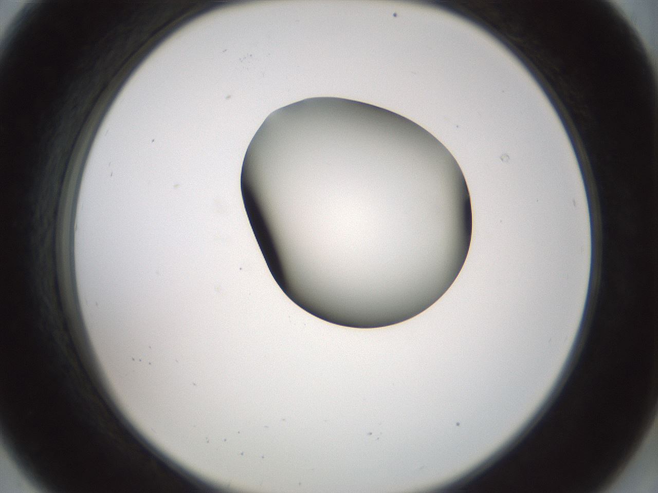 folderID229_plateID1229_batchID3781_wellNum8_profileID1_d2_r71561_ef.jpg