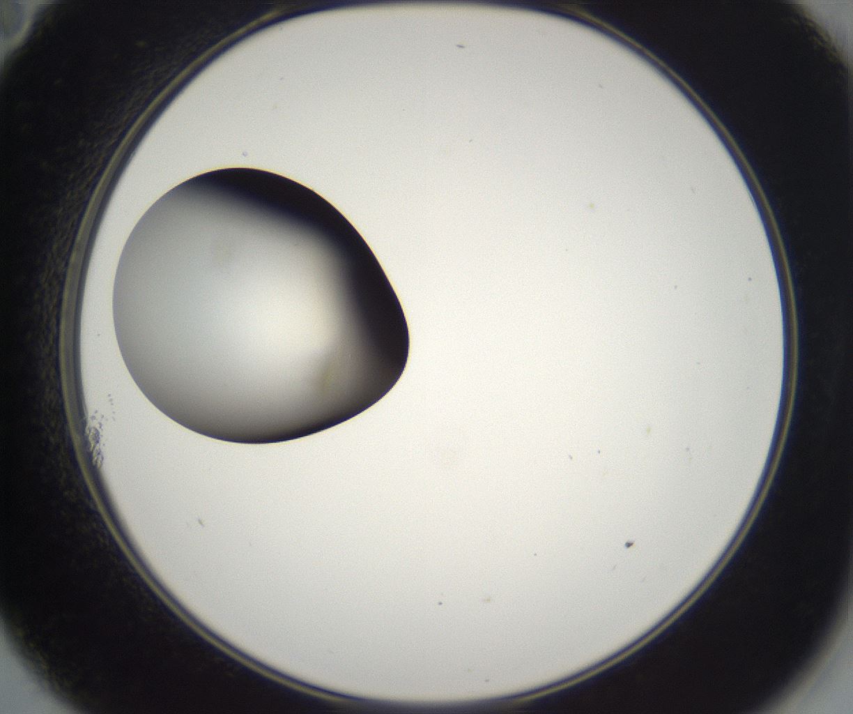 folderID229_plateID2229_batchID10100_wellNum11_profileID1_d2_r154096_ef.jpg
