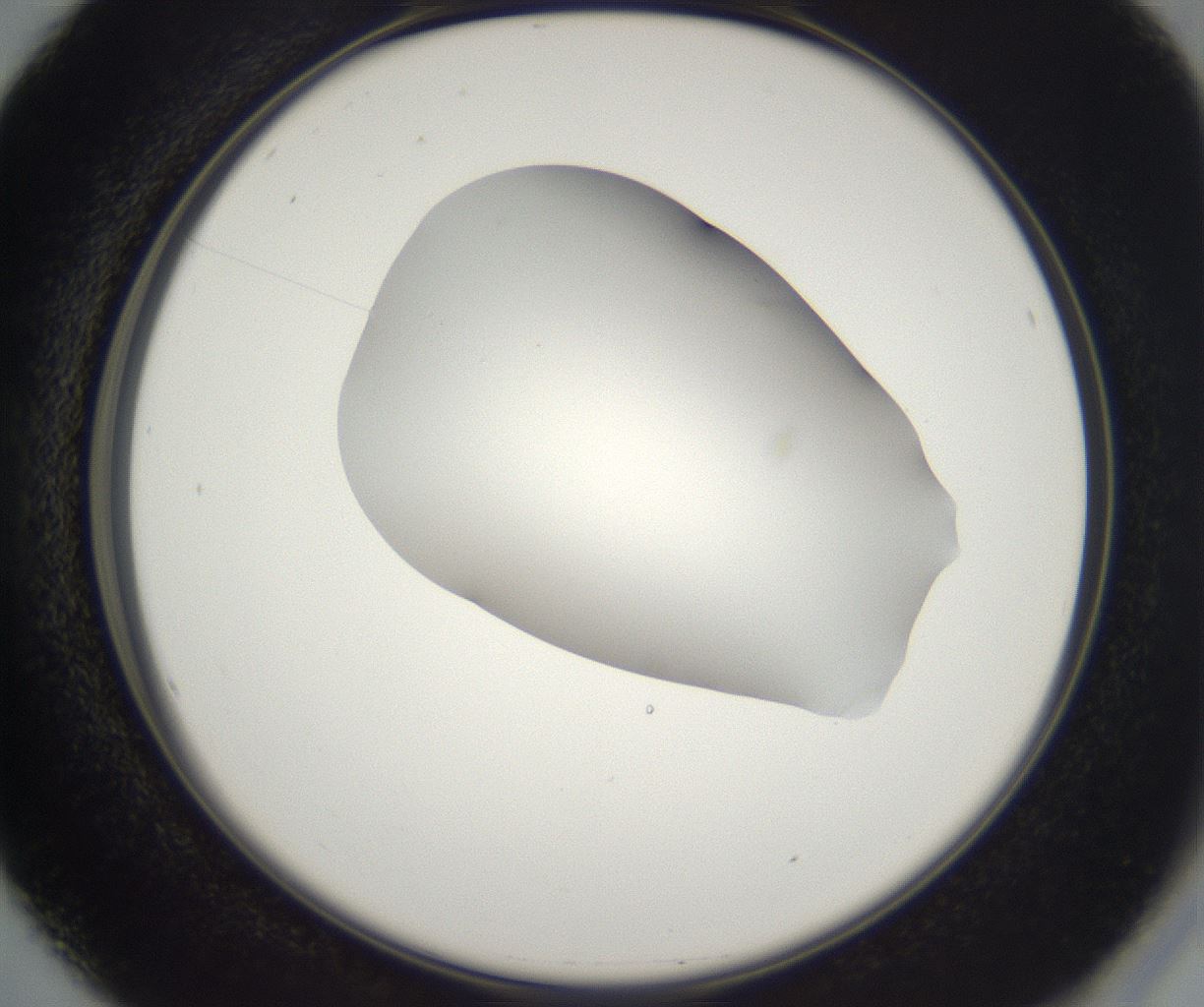 folderID229_plateID2229_batchID10100_wellNum16_profileID1_d2_r154106_ef.jpg
