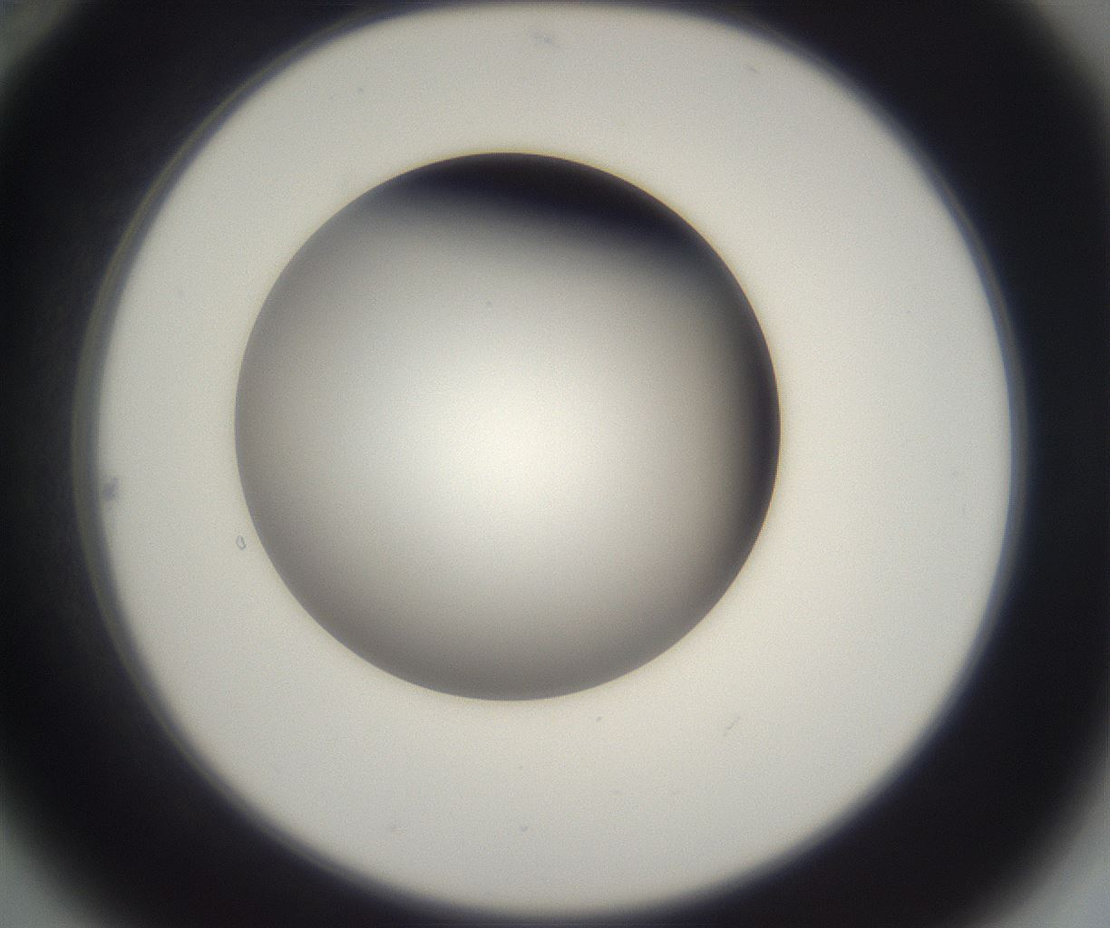 folderID229_plateID2229_batchID10100_wellNum22_profileID1_d2_r154118_ef.jpg