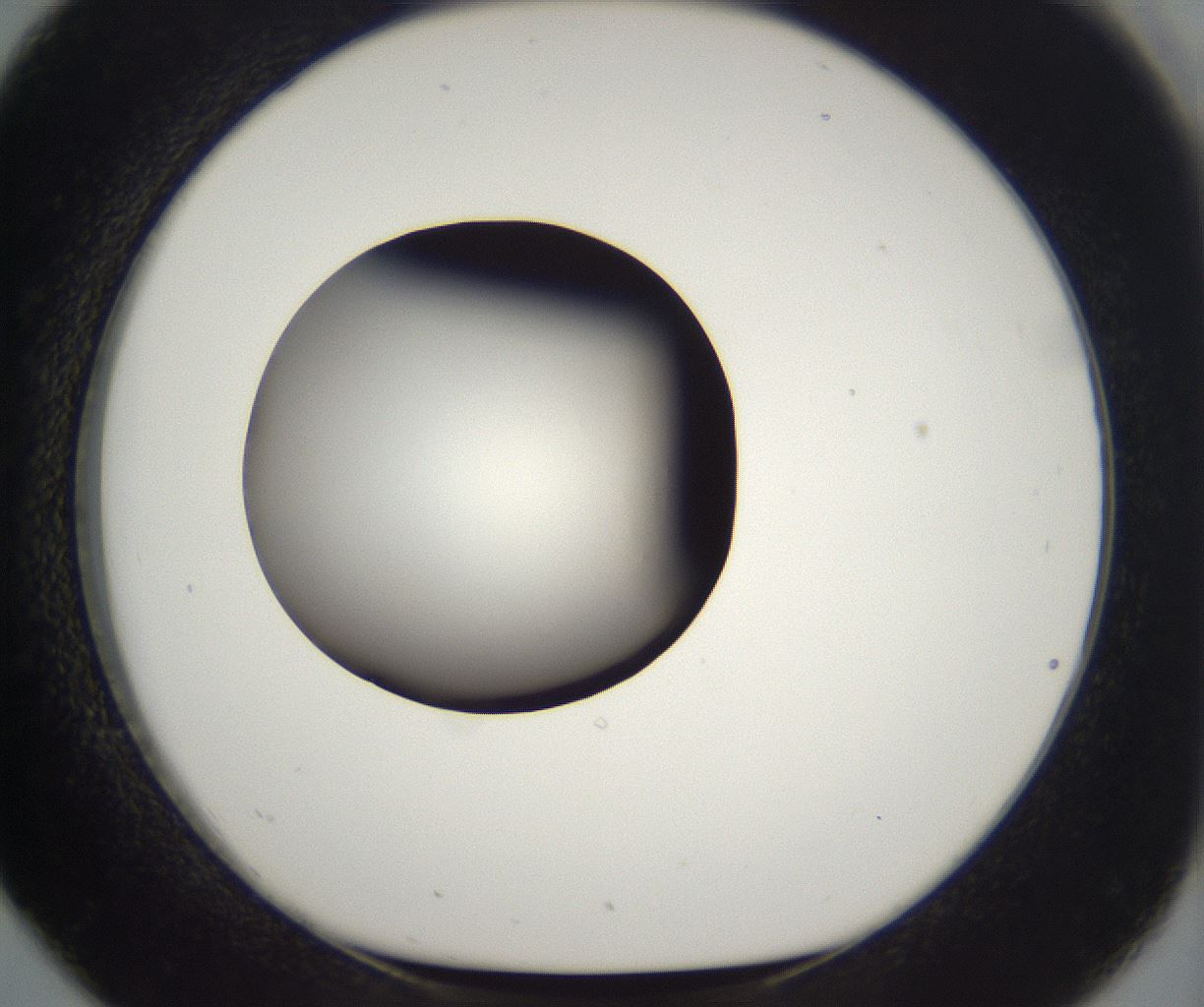 folderID229_plateID2229_batchID10100_wellNum26_profileID1_d1_r154125_ef.jpg