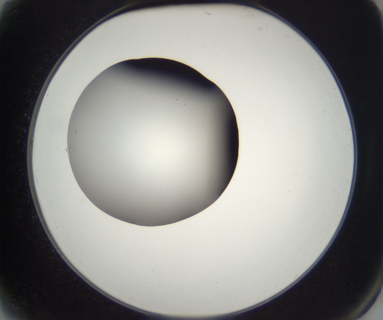 folderID229_plateID2229_batchID10100_wellNum2_profileID1_d2_r154078_ef.jpg