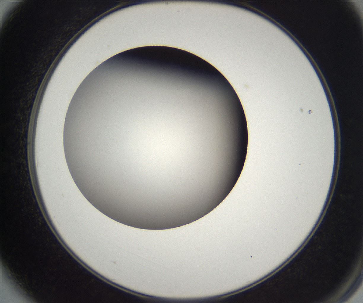 folderID229_plateID2229_batchID10100_wellNum3_profileID1_d2_r154080_ef.jpg