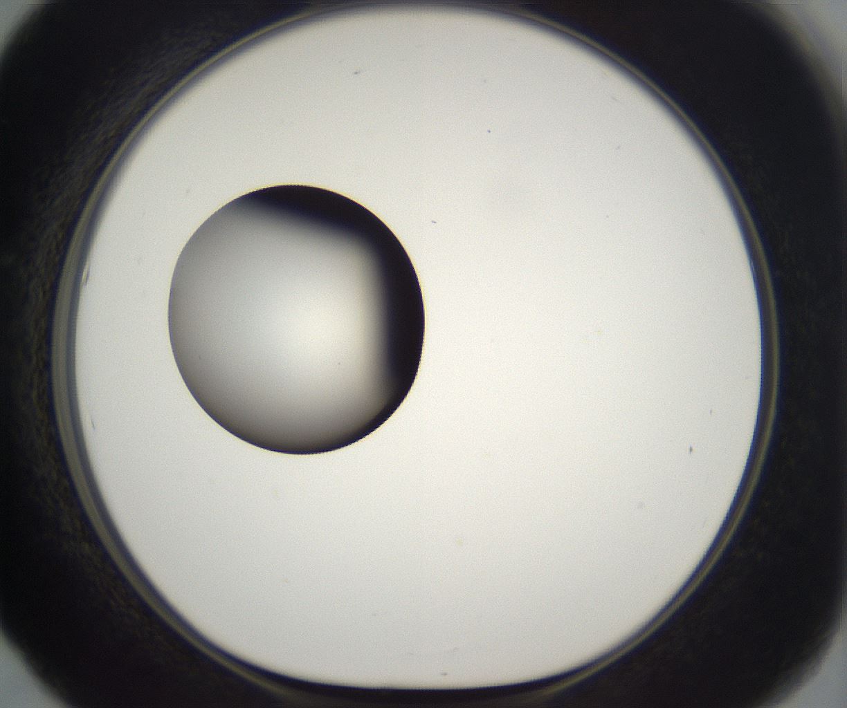 folderID229_plateID2229_batchID10100_wellNum53_profileID1_d1_r154179_ef.jpg