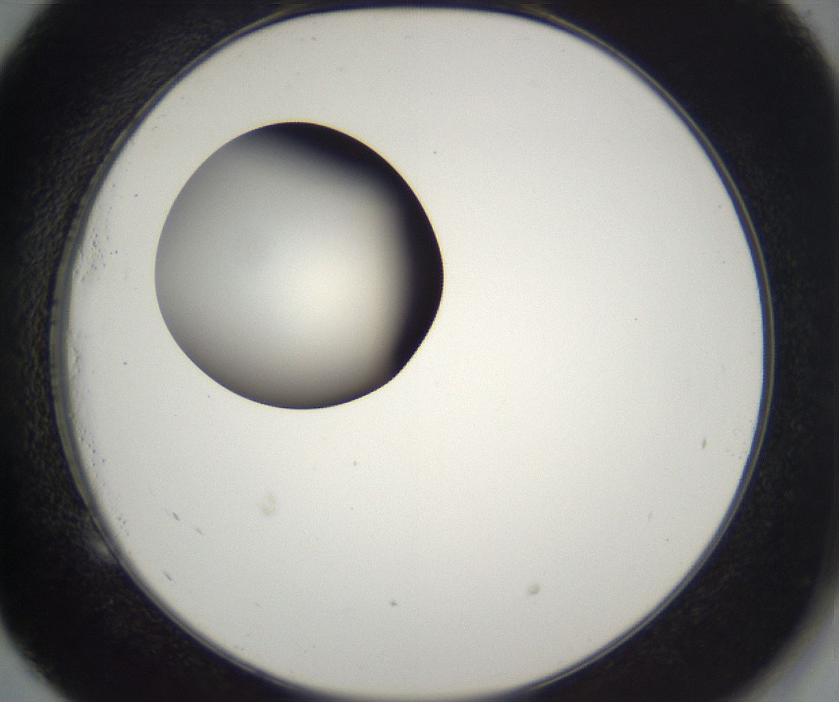 folderID229_plateID2229_batchID10100_wellNum53_profileID1_d2_r154180_ef.jpg