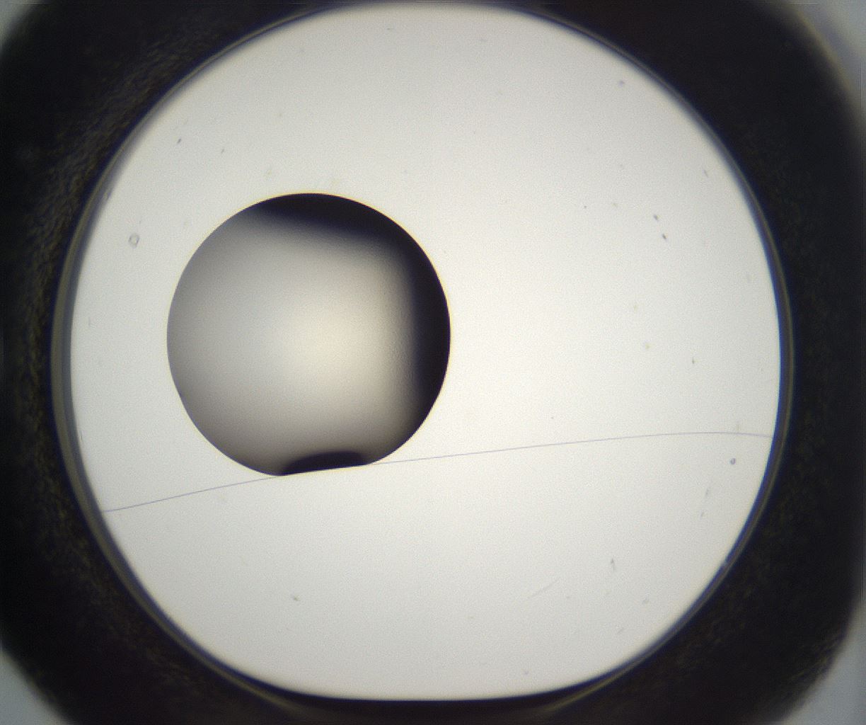 folderID229_plateID2229_batchID10100_wellNum5_profileID1_d1_r154083_ef.jpg