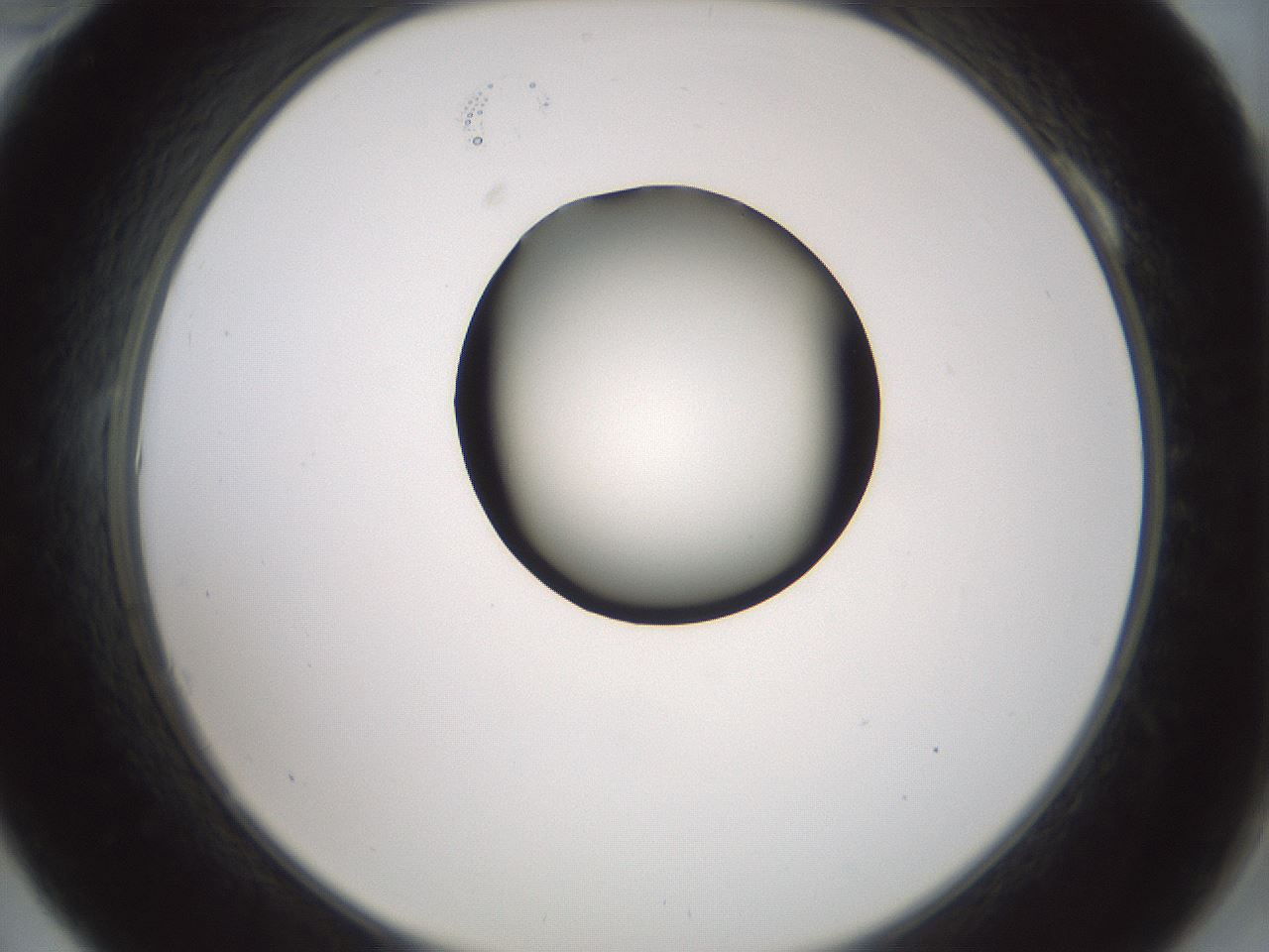 folderID230_plateID1230_batchID3779_wellNum10_profileID1_d2_r71659_ef.jpg