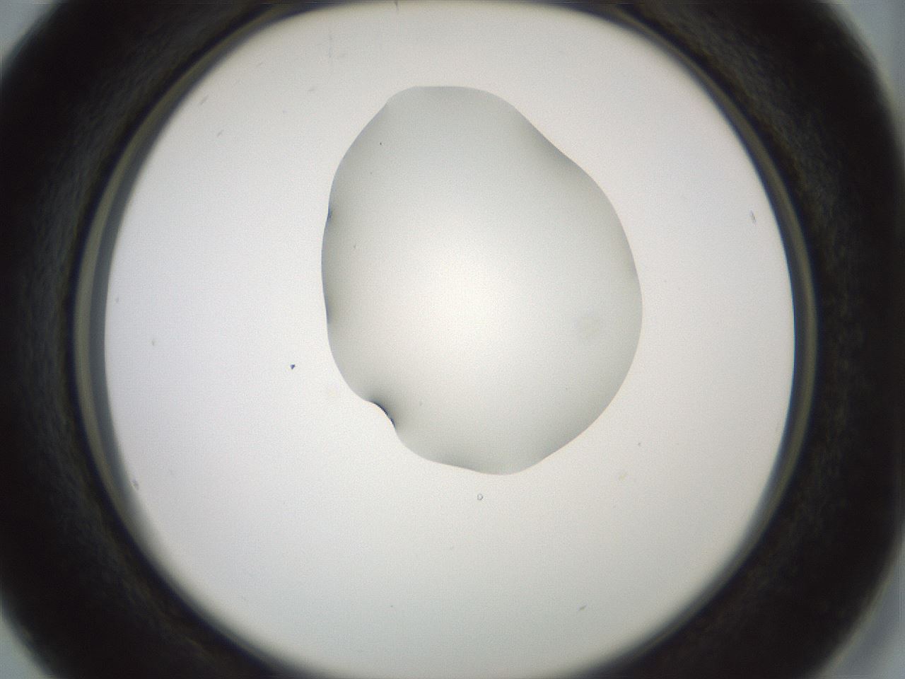 folderID230_plateID1230_batchID3779_wellNum16_profileID1_d2_r71665_ef.jpg