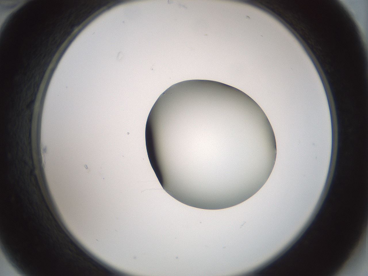 folderID230_plateID1230_batchID3779_wellNum22_profileID1_d2_r71671_ef.jpg