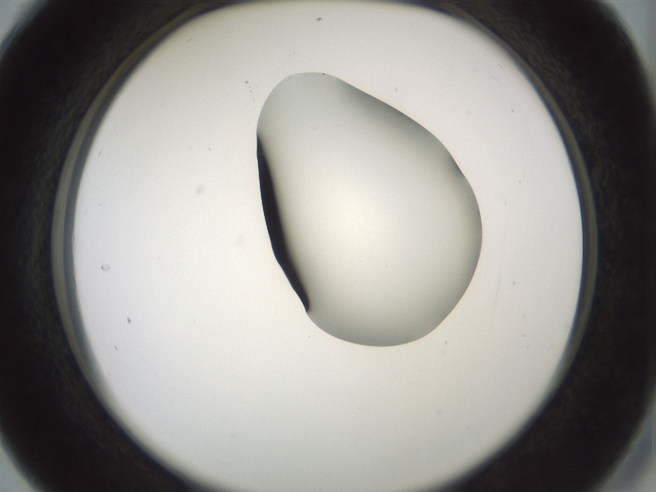 folderID230_plateID1230_batchID3779_wellNum28_profileID1_d2_r71677_ef.jpg