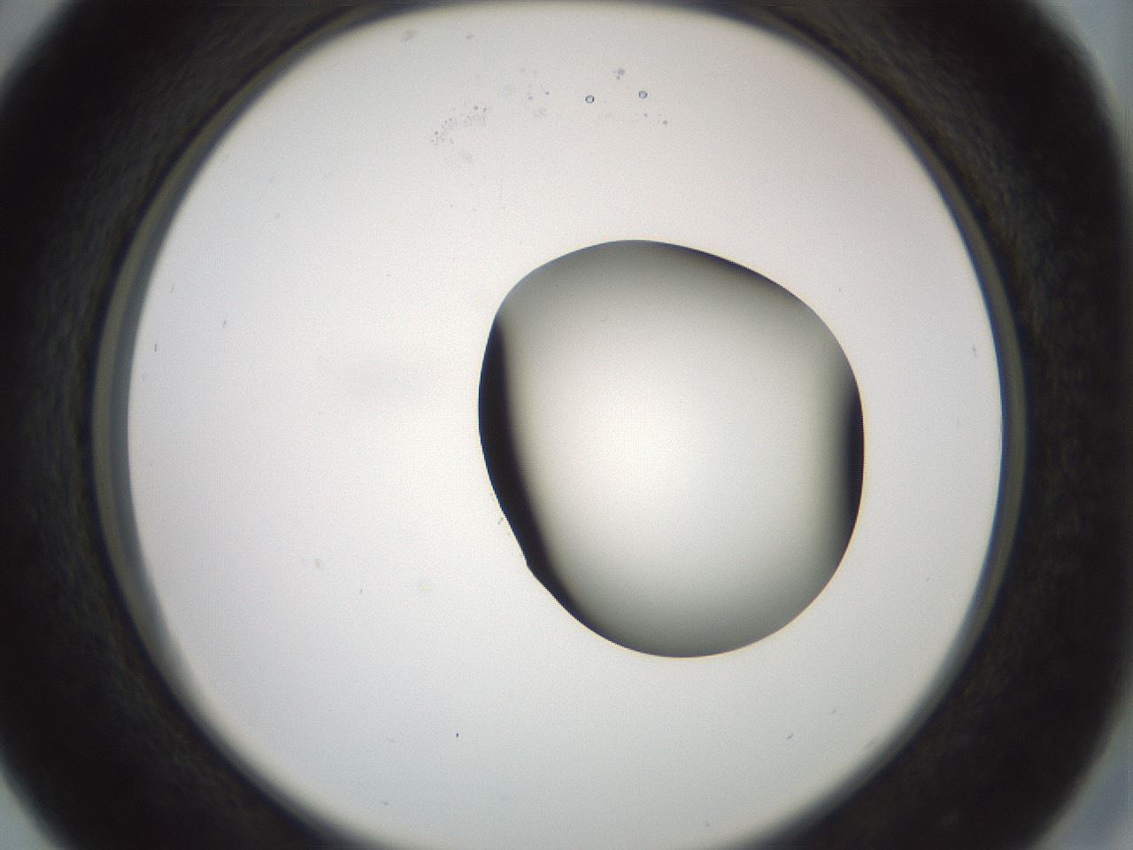 folderID230_plateID1230_batchID3779_wellNum29_profileID1_d2_r71678_ef.jpg