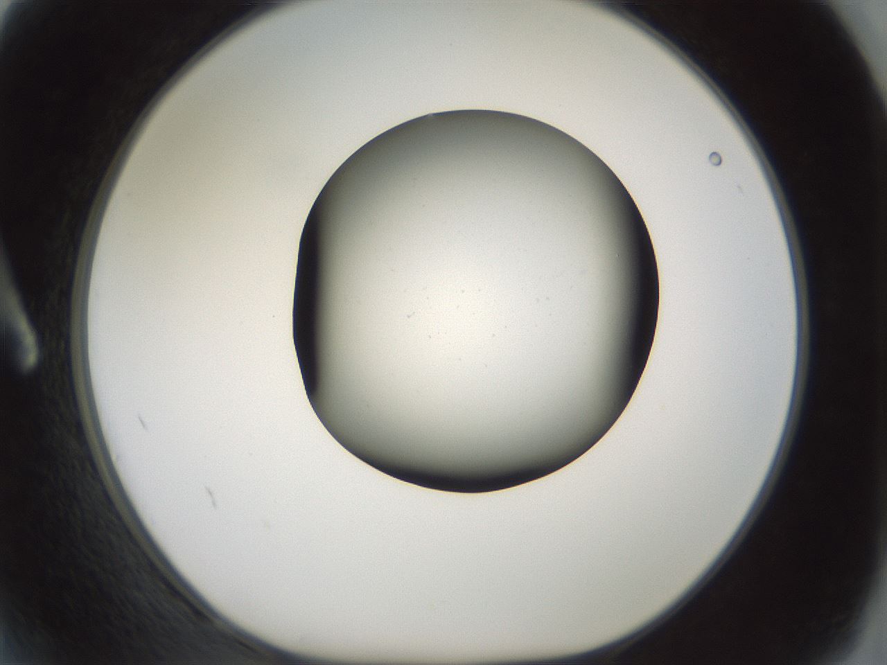 folderID230_plateID1230_batchID3779_wellNum2_profileID1_d1_r70209_ef.jpg