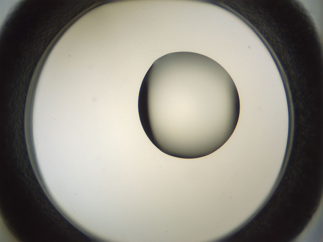 folderID230_plateID1230_batchID3779_wellNum37_profileID1_d2_r71686_ef.jpg