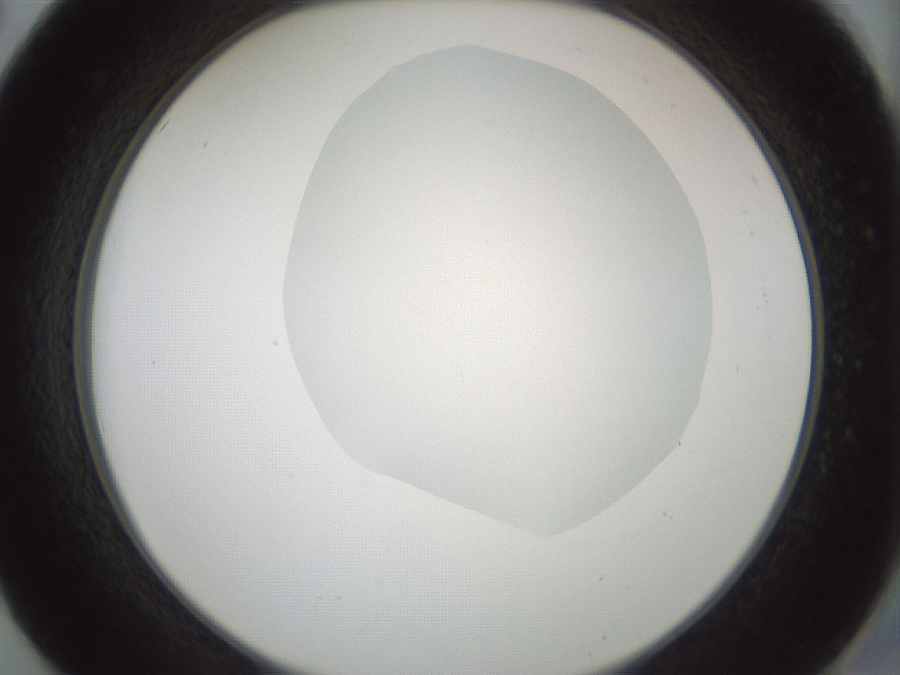 folderID230_plateID1230_batchID3779_wellNum50_profileID1_d2_r71699_ef.jpg