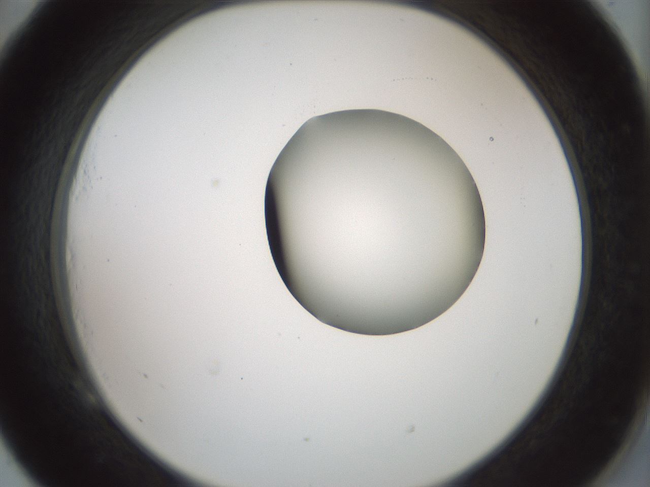 folderID230_plateID1230_batchID3779_wellNum53_profileID1_d2_r71702_ef.jpg