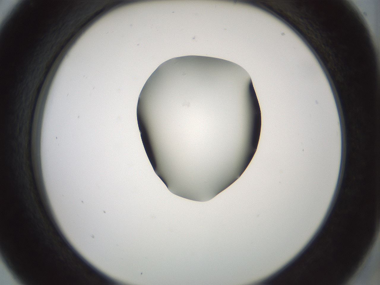 folderID230_plateID1230_batchID3779_wellNum5_profileID1_d2_r71654_ef.jpg