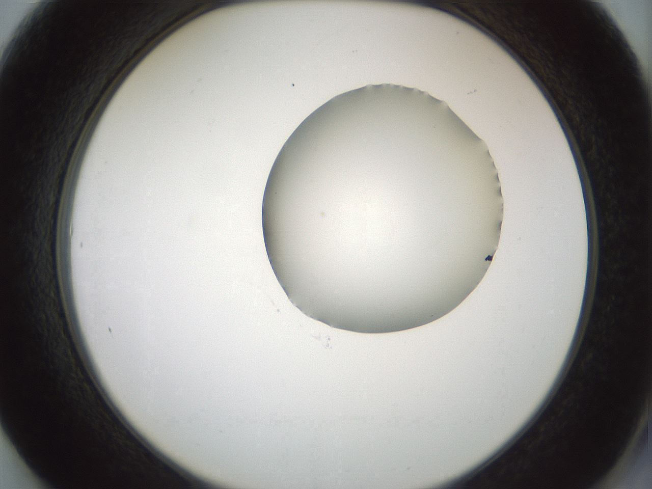folderID230_plateID1230_batchID3779_wellNum61_profileID1_d2_r71710_ef.jpg