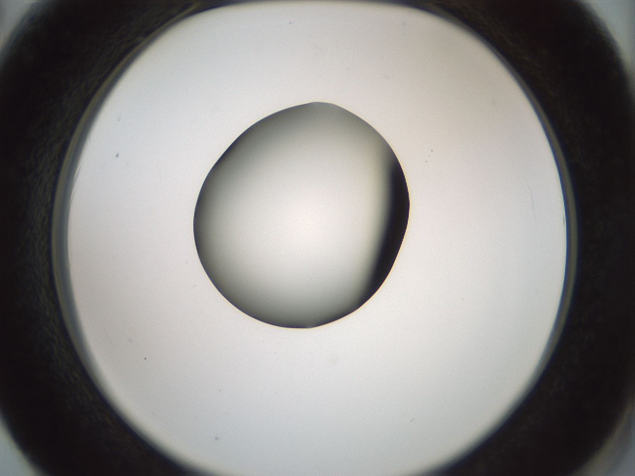 folderID230_plateID1230_batchID3779_wellNum62_profileID1_d2_r71711_ef.jpg