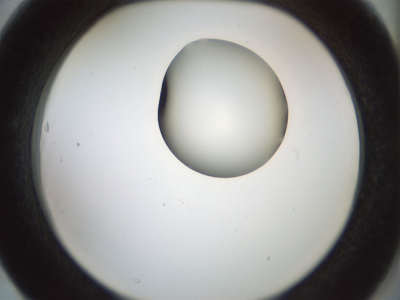 folderID230_plateID1230_batchID3779_wellNum63_profileID1_d2_r71712_ef.jpg