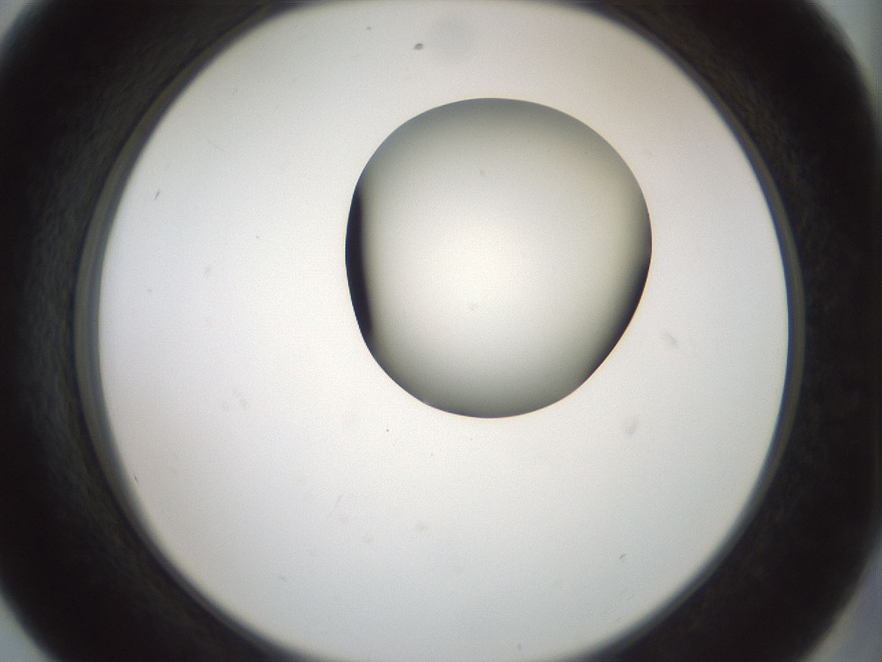 folderID230_plateID1230_batchID3779_wellNum56_profileID1_d2_r71705_ef.jpg