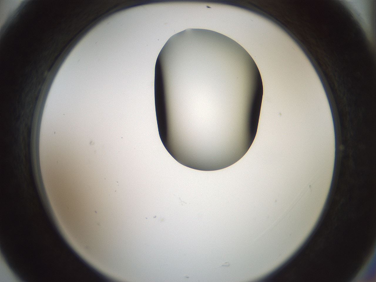 folderID230_plateID1230_batchID3779_wellNum77_profileID1_d2_r71726_ef.jpg