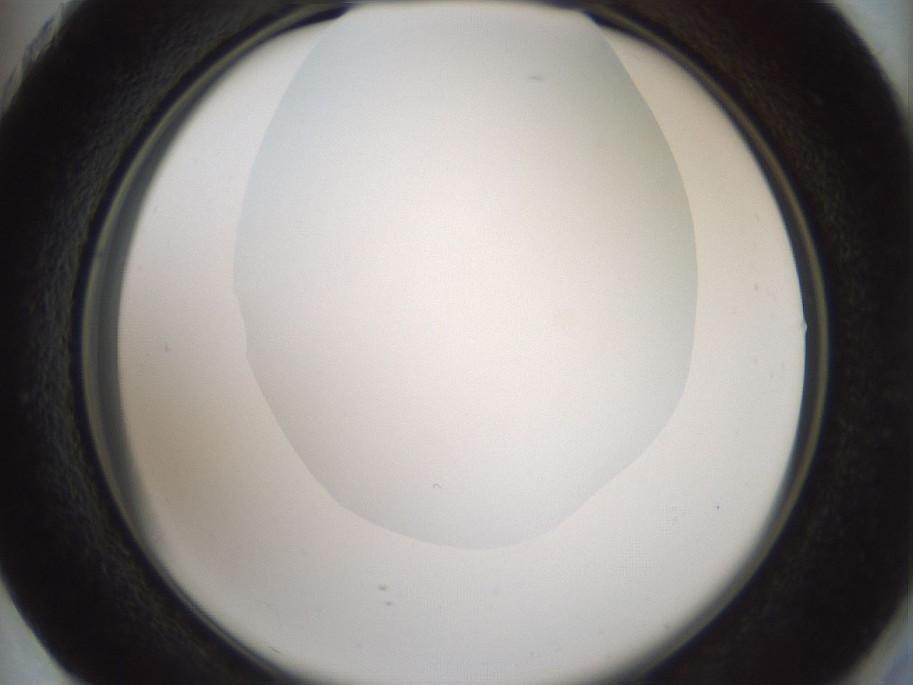 folderID230_plateID1230_batchID3779_wellNum73_profileID1_d2_r71722_ef.jpg