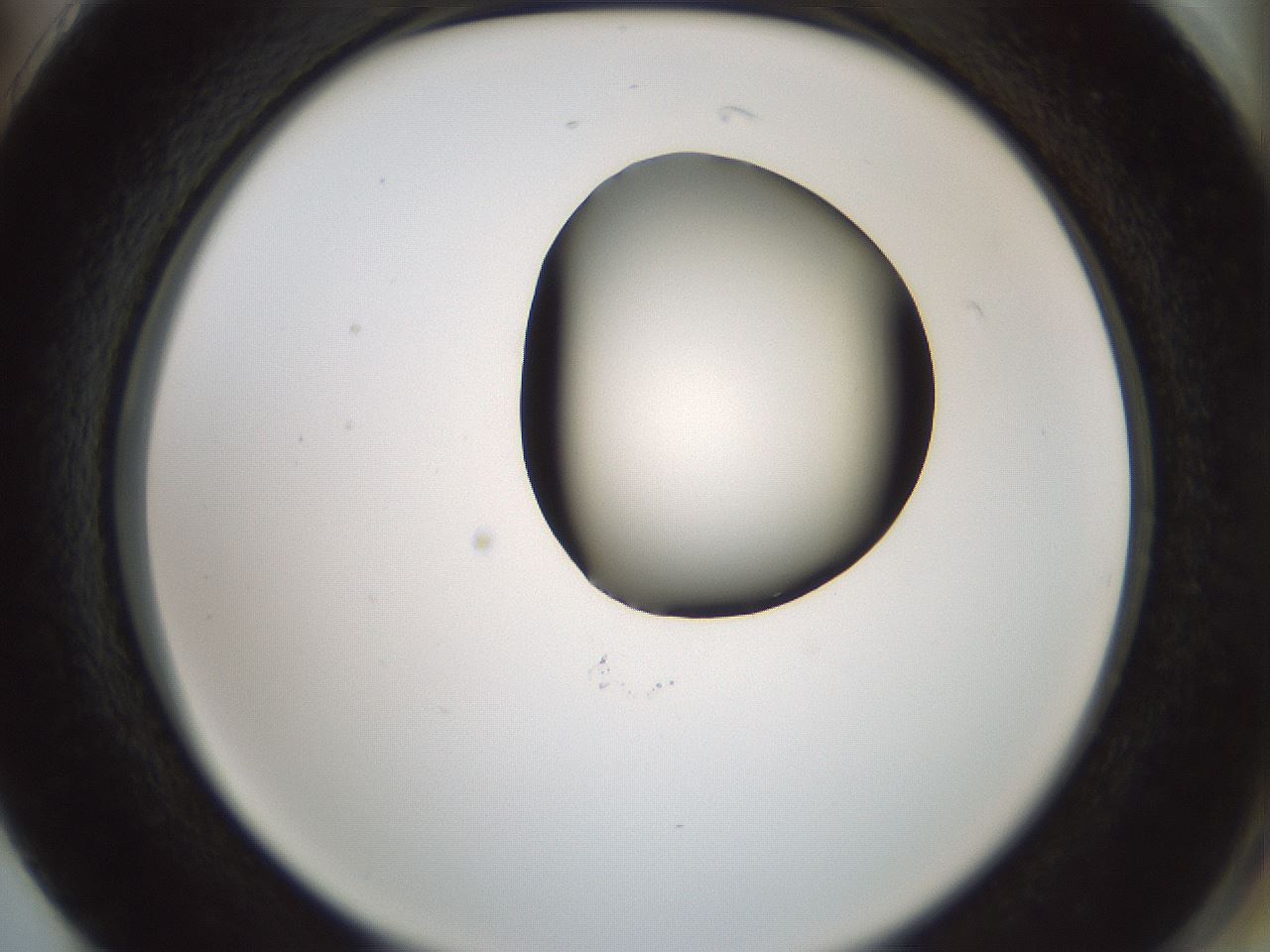 folderID230_plateID1230_batchID3779_wellNum74_profileID1_d2_r71723_ef.jpg