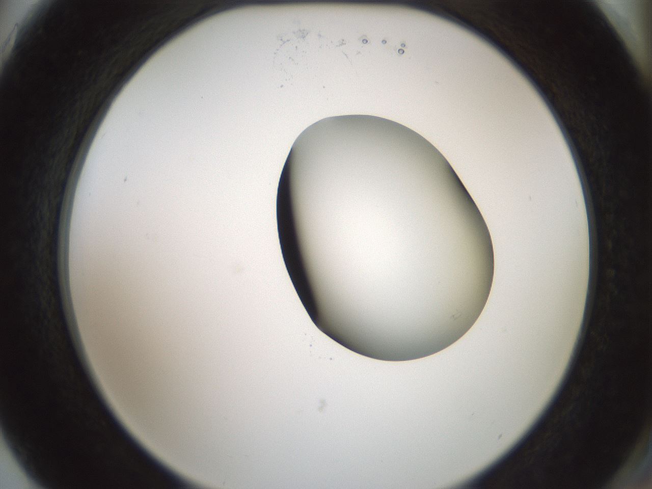 folderID230_plateID1230_batchID3779_wellNum75_profileID1_d2_r71724_ef.jpg