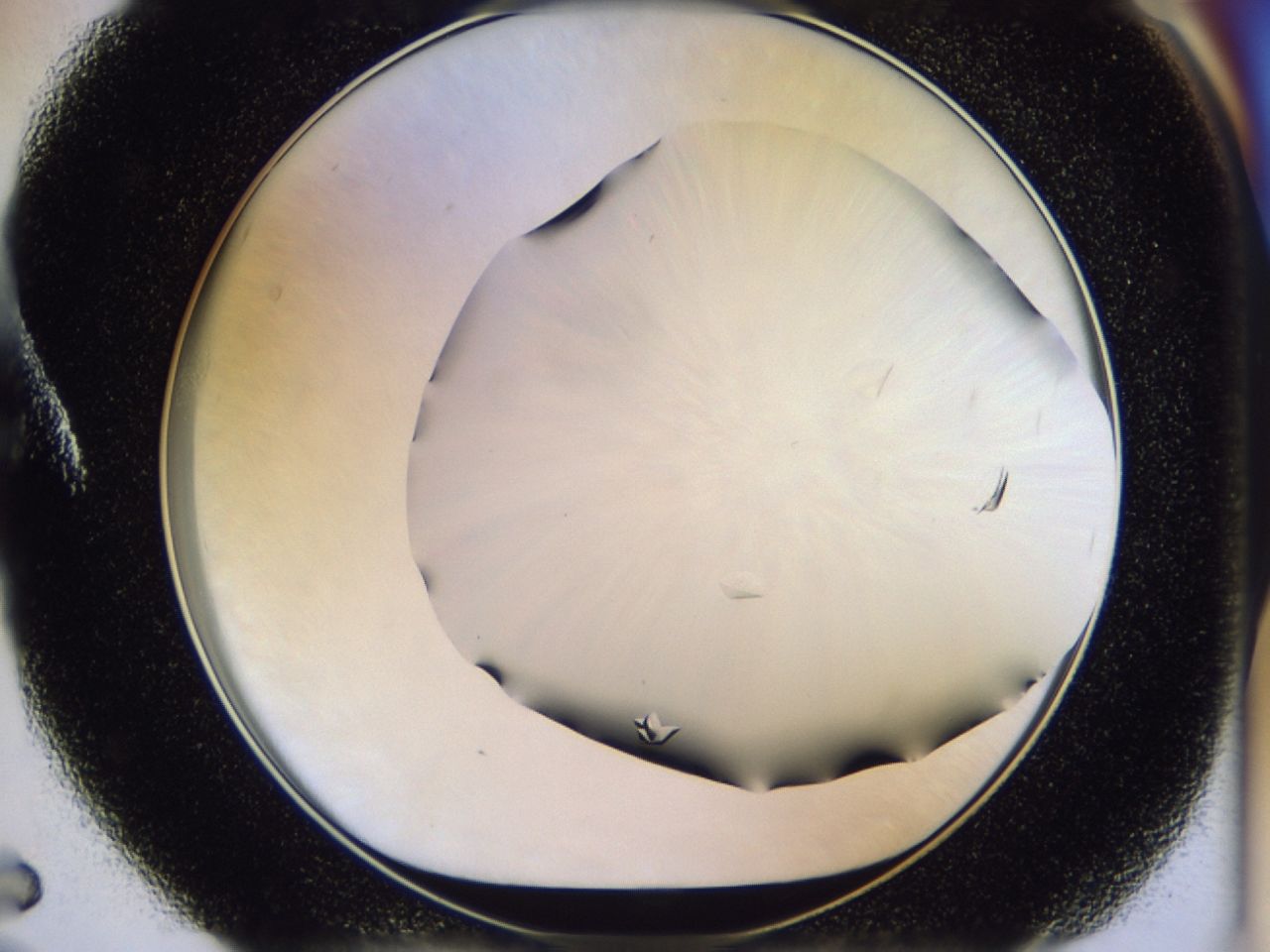 02ha_A5_ImagerDefaults_8.jpg