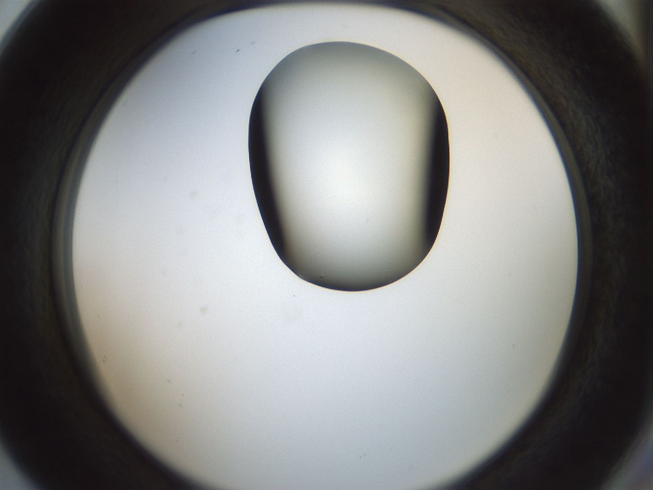 folderID230_plateID1230_batchID3779_wellNum80_profileID1_d2_r71729_ef.jpg